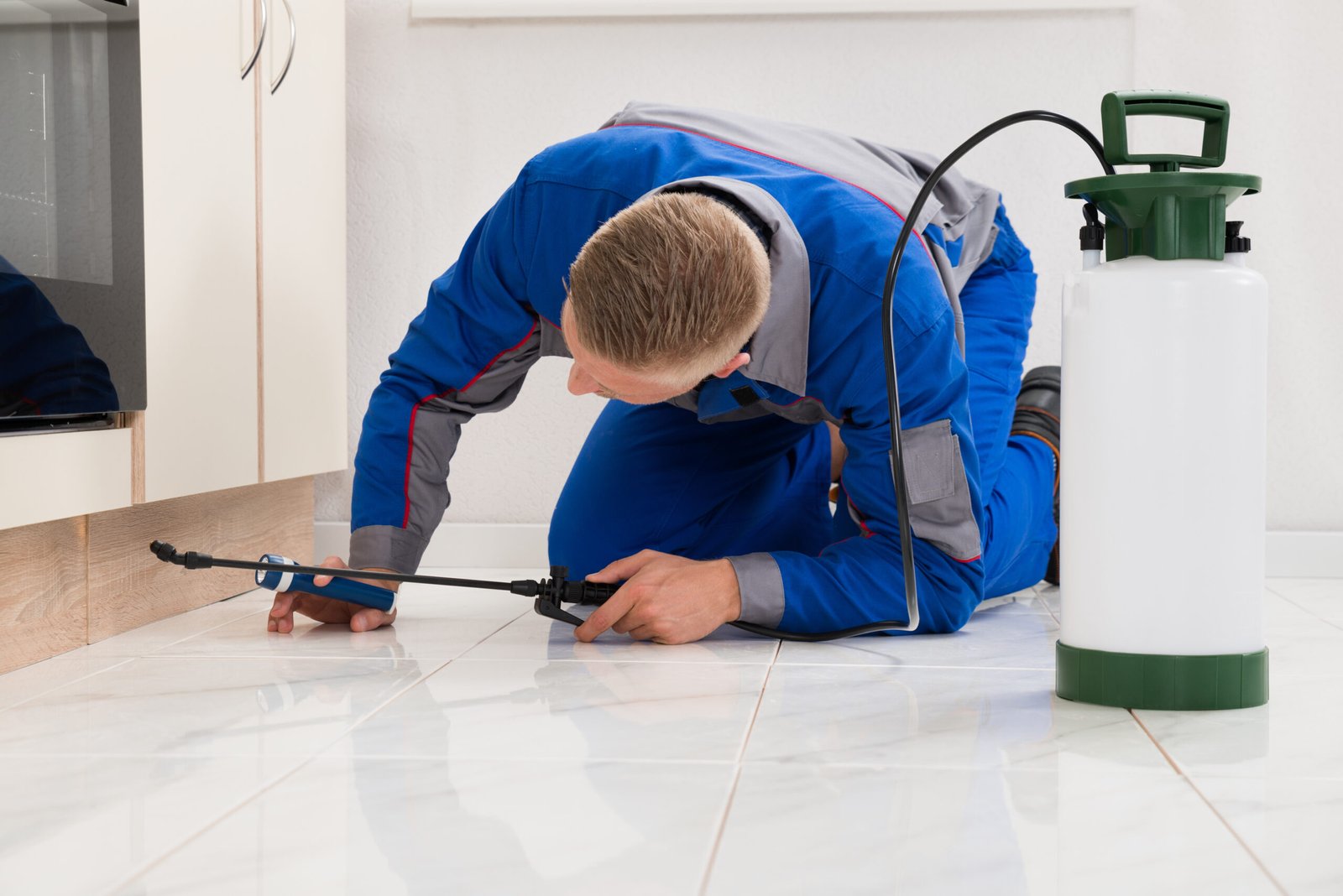 Florida Pest Management